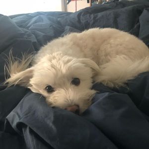 Meet your Posher, Georgia